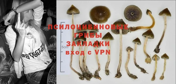 мескалин Краснотурьинск