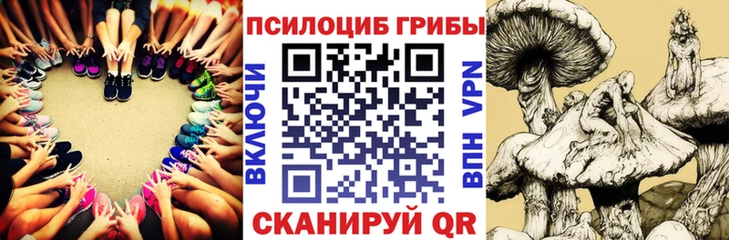 сайты даркнета клад  Горячеводский  Галлюциногенные грибы Cubensis 